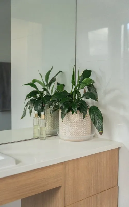 St. Morris Custom Home — photo 5